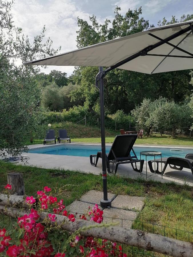 B&B Coldifiore Penna in Teverina Eksteriør billede